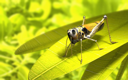 3D Grasshopper - insects, 3d, nature, grasshopper