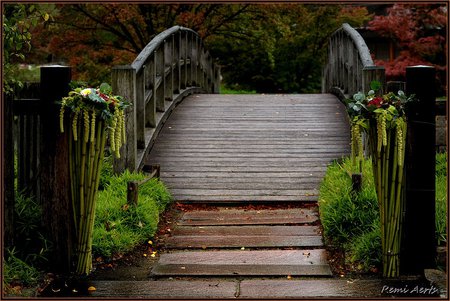 The Old Bridge - flowers, trees, old, art photo, nice, bridge