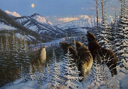 Hunters neath the moon - moon, hunting, wolf pack, wild, snow, fir trees, mountains, howling