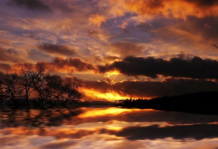 Blending - clouds, trees, coral, sunset, reflection in water, white black clouds, sky