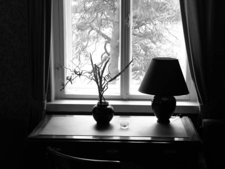 Room-the-beauty-of-black-and-white - windows, room, flower, light, architecture, tree, black, white, houses