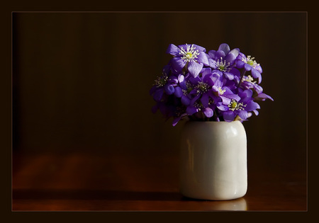 still life background - vase, blue, still life, flowers, black, white, art photo, background, nice