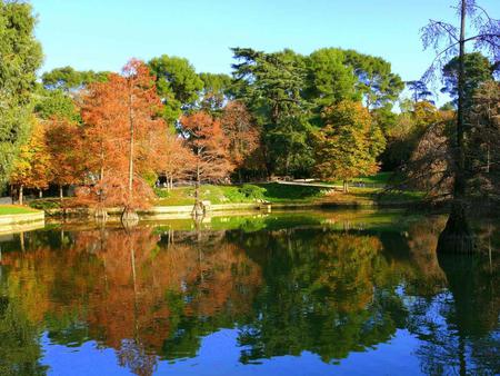 Autumn lake - lake, forest, tree, season, autumn