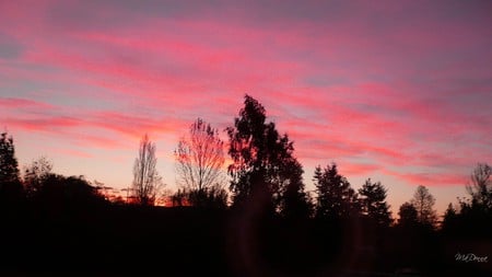 October Sunrise - widescreen, fall, autumn, sunrise, washington, pink, sky