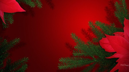 Christmas Background - season, xmas, widescreen, red, holiday, green, tree, poinsettia, fir limbs