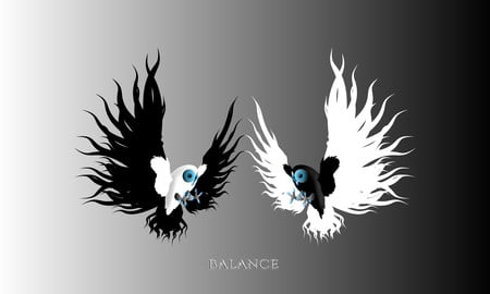 Balance - abstract, owls, balance, sign, beautiful, contrast, owl, black, white, 3d, animals