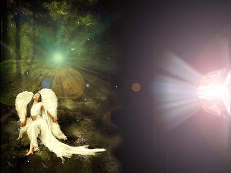 Effect Of Light - angels, abstract, cg, 3d