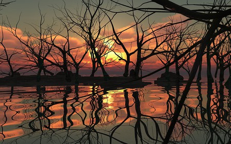 Reflection - lake, sky, mirrow, trees, water, bare, sunset, waves, fall, cool, reflection, red, golden, dusk