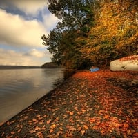 Beach in autumn