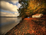 Beach in autumn