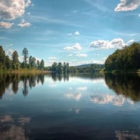 River Reflection