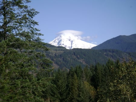 Mount Hood with a cloud cap - oregon, cloud cap, wilderness, mt hood