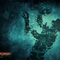 Sub-Zero Fatality Shadow