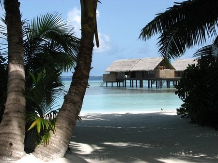 Paradise Awaits - beach, maldives, huts, trees