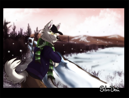 world snow - furry, white, wolf, snow, world snow