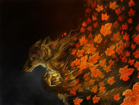 Wolf wallpaper - wolf, autumn, orange, dark, leaves