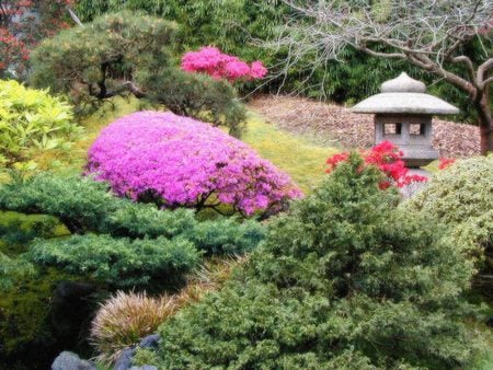 Tea garden - trees, water, gardens, beauty, sesons, colors, pink, nature, green, places