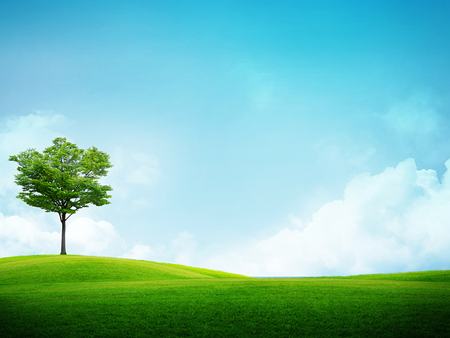 clear look - green, clear, field, good, sky