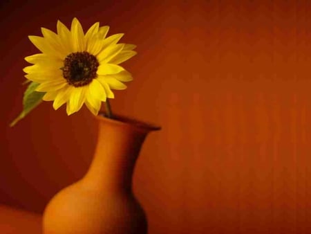 Flower Wallpaper - pot, cg, flower, 3d