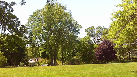 walking to tennis feild - school, nature, feild, charlotte