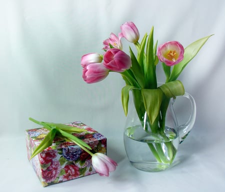 still life - nice, gift, bouquets, photography, tulips, water, still life, cool, box, beautiful, jug, tulip, flowers, photo, flower, harmony