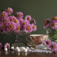 still life