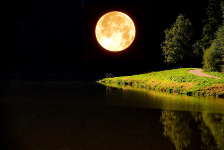 Our moon - moon, night, lake, trees