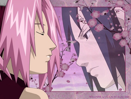 Sakura & Sasuke - anime, love, girl, boy