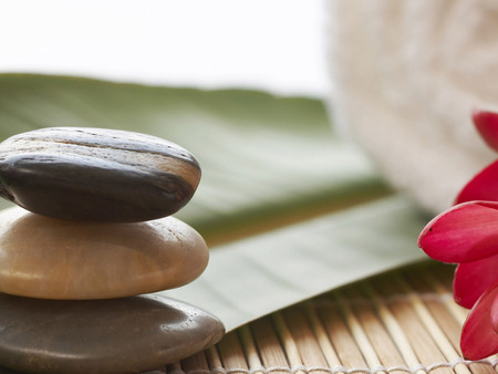 Rocks by the Window - red flower, ledge, rocks, three