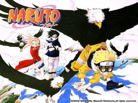 Naruto - bird, anime, people, fly