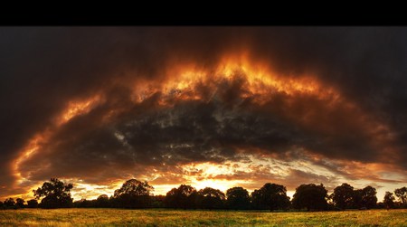 Heavenly - sky, trees, field, sunset, nature, fiery, clouds, beautiful, colors