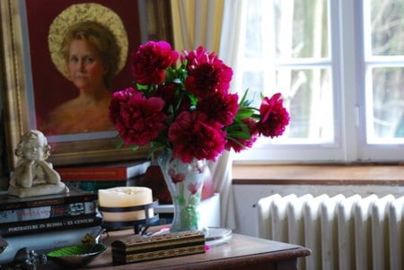 Fresh Peonies - vase, picture, red, trinkets, radiator, deskbooks, home, peonies