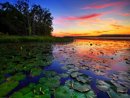 Sunset - beauty, beautiful, leaves, peaceful, grass, blue, lake, sky, clouds, trees, sunset, nature, colors, colorful, green