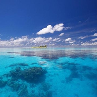 Island Shore