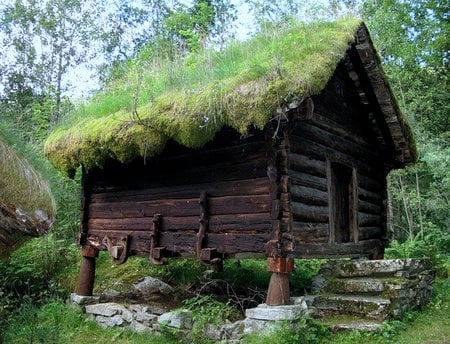 Landscape - nature, house, landscape, grassroof