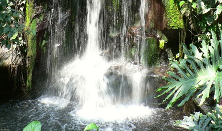 waterfalls - waterfalls, looks good, nature, beautiful