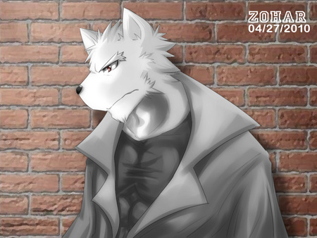 furry - furry, white, zoharwolf, wolf, zohar, wall, tiles