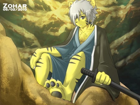 tiger - sky, yellow, furry, sword, tiger, dusk