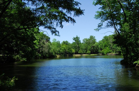 trees in lake - trees, water, nature, lakes