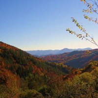 Mountain autumn