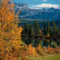 Jasper National Park Alberta Canada