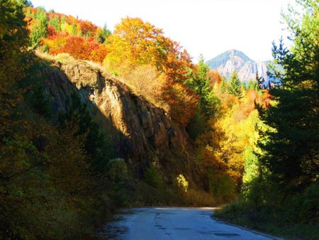 Mountain road - autumn, trees, mountain, photography, road, bulgaria, fall, forest, colors