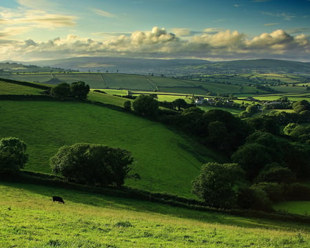 fields - nature, fields, sky, green, grass