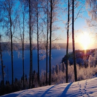 sunrise near a lake