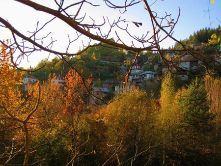 Beautiful mountain - photogrpahy, autumn, colors, forest, mountain, tree, rocks, bulgaria