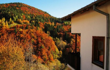 House in the mountain - forest, fall, photogrpahy, house, trees, mountain, colors, autumn, bulgaria