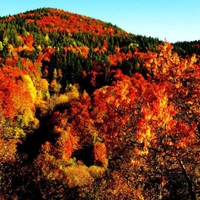 Colourful Mountain