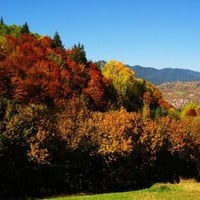 Rhodopy mountain in fall colors