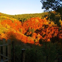 autumn mountain