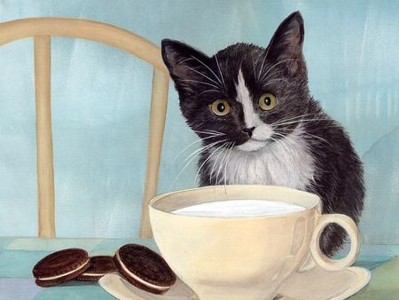 Taking my breakfast - cookie, milk, kitten, brakfast, cup, cat, chair